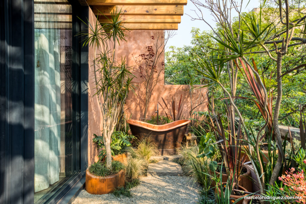 architectural photos mexico city